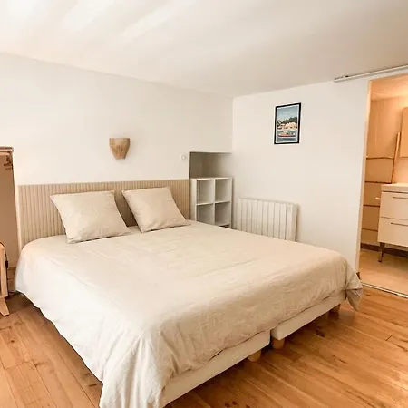 Large 2 Bedrooms Duplex - Center & Free Parking Arcachon